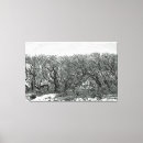 Search for black and white tree canvas prints Beach