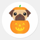 Search for pug face stickers Funny