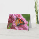 Search for weeds cards Photography
