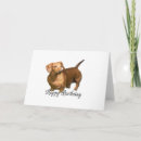 Search for dachshund birthday cards Weiner dog