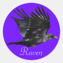 Search for flying crows stickers Raven