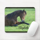 Search for lay electronics Equestrian