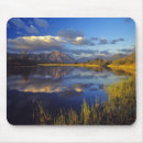 Search for alberta mousepads Environment
