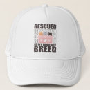 Search for shelters hats Animal shelter