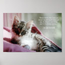 Search for kitten posters Quote
