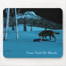 Search for winter wolf electronics Alaska