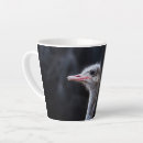 Search for ostrich drinkware Birds