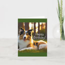 Search for fur baby cards Nature