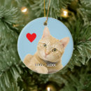 Search for ginger cat christmas tree decorations Pet
