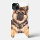 Search for mutt cases Pet