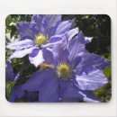 Search for clematis mousepads Purple