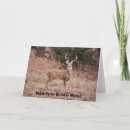 Search for buck deer cards Hunter