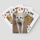 Search for cooling playing cards Feline