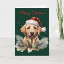 Search for labrador christmas cards Snow