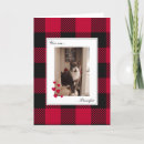 Search for buffalo plaid cards Animal