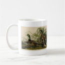 Search for mallard duck mugs Anas platyrhynchos