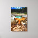 Search for thermal art Nature