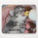 Search for feed electronics Pet