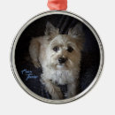 Search for holiday premium christmas tree decorations Dog