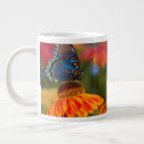 Search for swallowtail butterfly mugs Orange