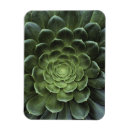 Search for lush green magnets Leaves