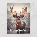 Search for mule deer postcards Buck