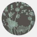 Search for botanical study stickers Charcoal