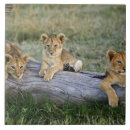 Search for log tiles Lion