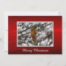 Search for red berries christmas cards Cute