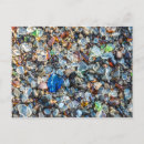 Search for bragg postcards Ocean