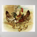 Search for vintage chicken posters Antique