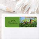 Search for mallard duck return address labels Nature