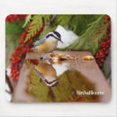 Search for nuthatch mousepads Red breasted nuthatch