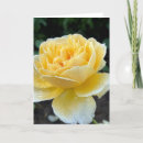 Search for yellow rose note cards Flowers