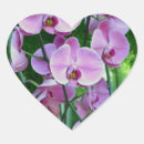 Search for purple orchid stickers Floral