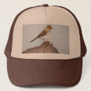 Search for brown eye hats Animal