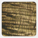Search for tree bark stickers Nature
