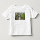 Search for mount rainier national park tshirts Usa