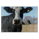 Search for farmers chopping boards Food