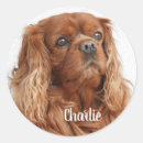Search for cocker spaniel lover stickers Animal