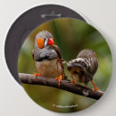 Search for songbird badges Nature photography