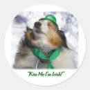 Search for kiss me stickers Irish
