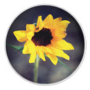 Search for sunflower knobs and pulls Nature