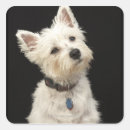 Search for west highland terrier stickers Animal