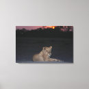 Search for wild one canvas prints Wildlife