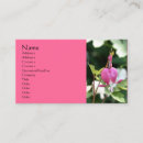 Search for bleeding photography Pink