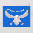 Search for albatross postcards Bird