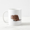 Search for beaver mugs Dam