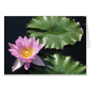 Search for everyday photography Floral
