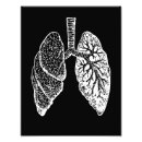 Search for lung anatomy art Human